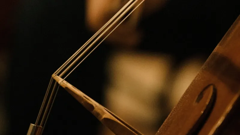 lead with harmony